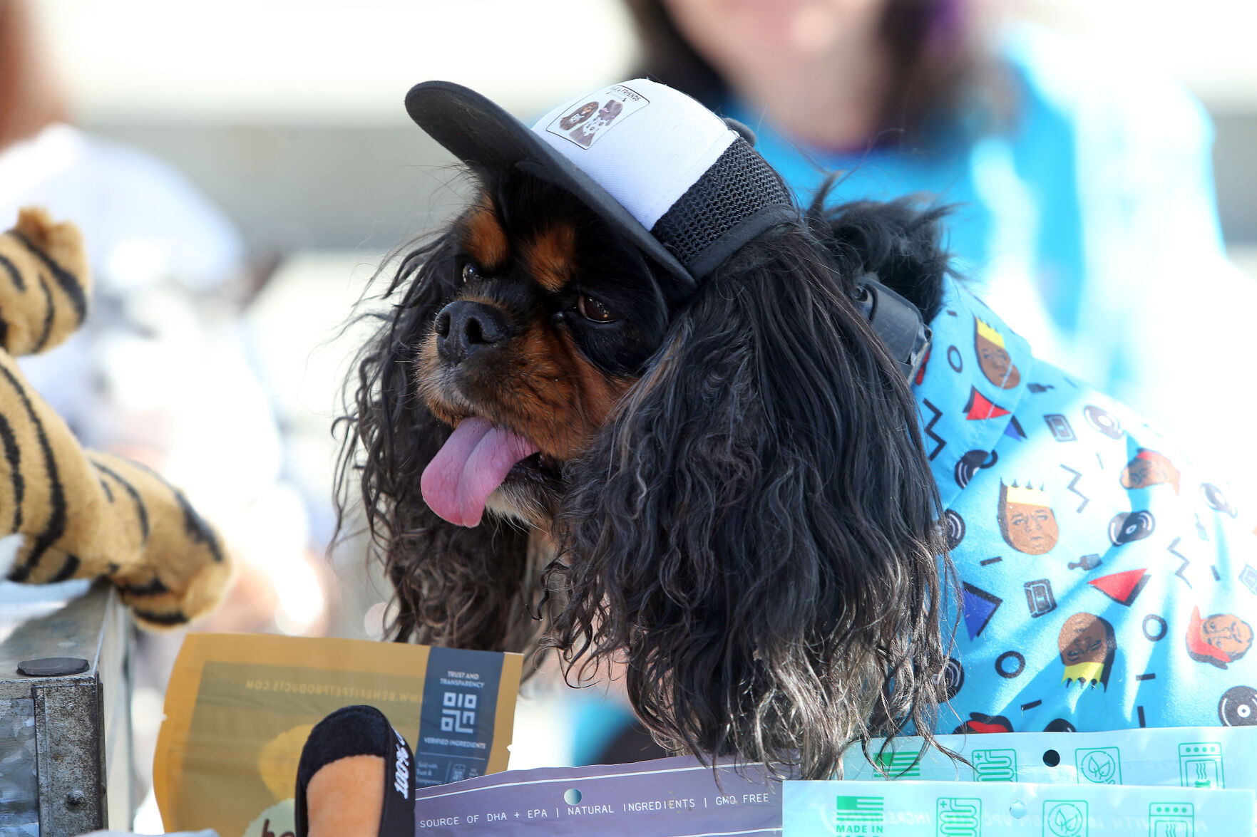 Napa Humane's Walk for Animals 2022